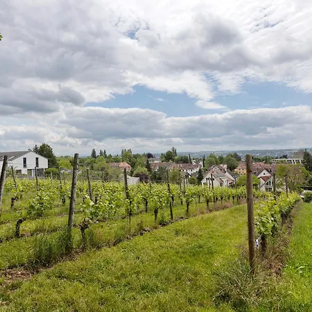 Rotes Haus Ueber Den Weinbergen Apartament *