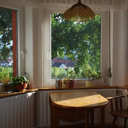 Blum Konstanz